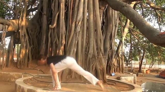 Experience Yoga Intermediate Session смотреть онлайн