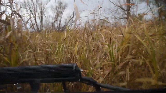 Amphibious Mudd-Ox Powers Across Swamp Land