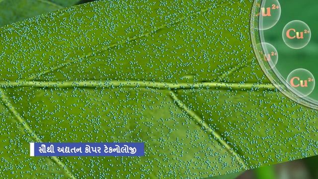 Kocide 3000 | Gujarati смотреть онлайн