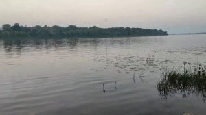 Огромный лещ берет только на эту насадку. Как поймать трофейного леща в жару? Секреты ловли леща