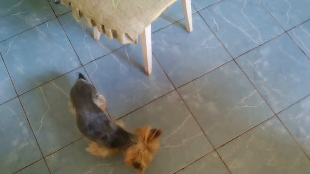 Не поваляешь не съешь смотреть онлайн