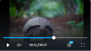 Слоновая черепаха #Слон #🐢 #Черепаха#на грани вымирания #животные