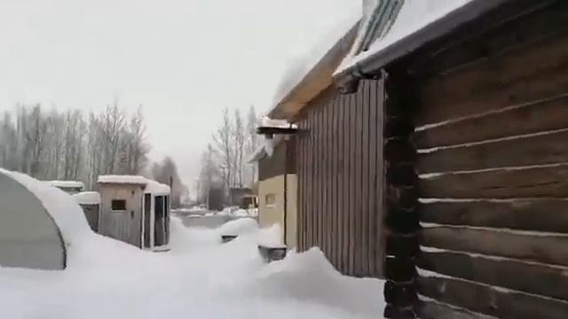 Дача цена 1200000 смотреть онлайн