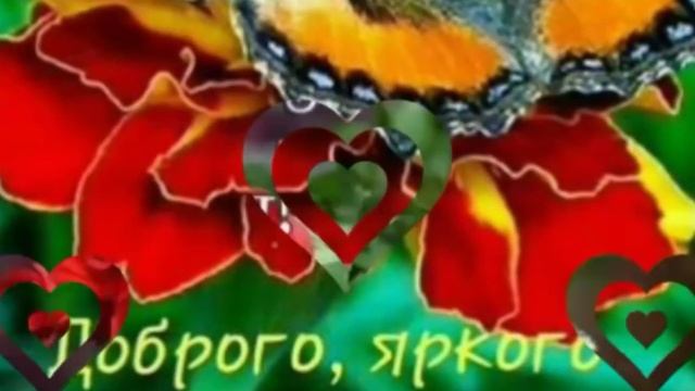 ДОБРОЕ УТРЕЧКО !!! КРАСИВАЯ МУЗЫКА !!! смотреть онлайн