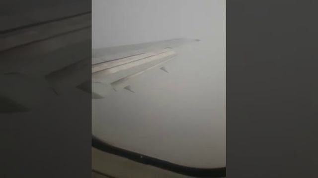 посадка на Белоруссия аэропорт Минск. смотреть онлайн