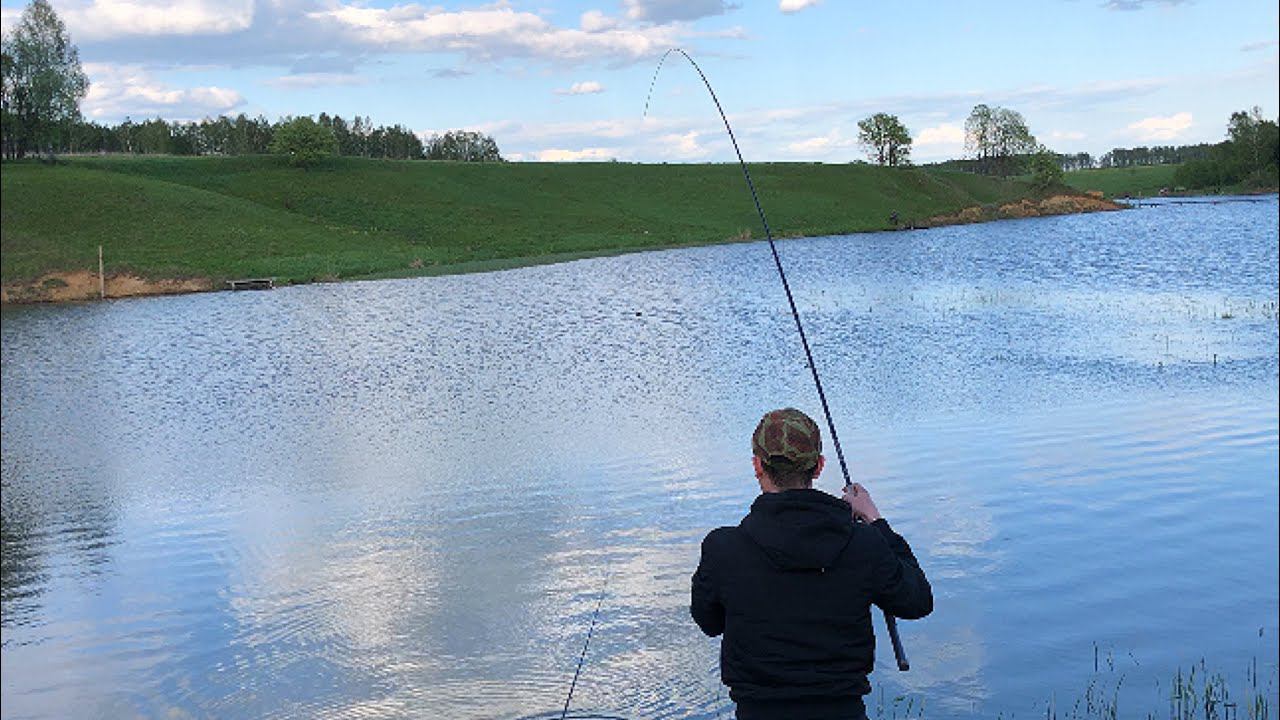 Хорошие КАРАСИ клюют в этом пруду / Караси на фидер в мае смотреть онлайн
