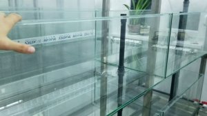 Краткий обзор разводни, или где живут красные неоны