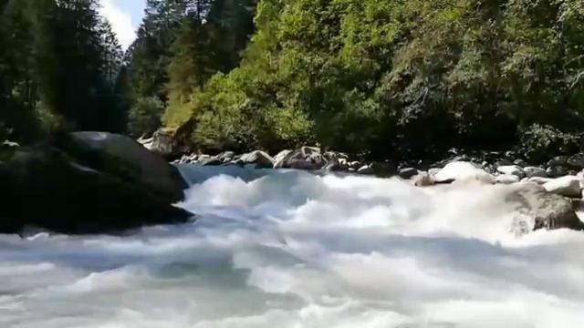 Вы нарушаете 177 закон уголовного кодекса" смотреть онлайн