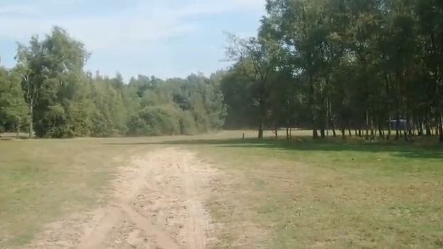LONGTRAVEL CROSS BUGGY CROSS KART HONDA CBR 600 f смотреть онлайн