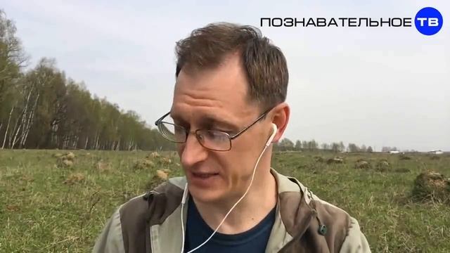 Почему называется ПАСХА и зачем КУЛИЧ с ЯЙЦАМИ смотреть онлайн