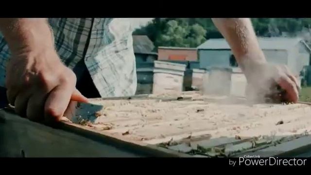 Зона отдыха "Рассвет"3869 смотреть онлайн