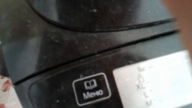 Животные в Зоопарках