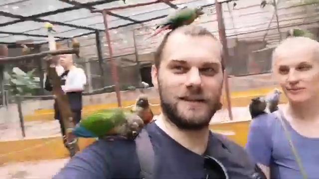 Свобода для человека это главное. смотреть онлайн