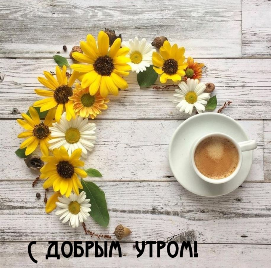Доброе Утро! Красивые пожелания с Добрым Утром и Хорошим Днем!