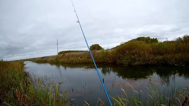 Маленькая речка Чернавка смотреть онлайн