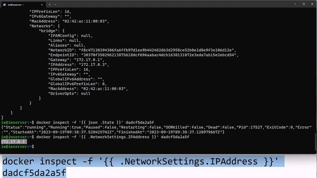 Docker logs and inspect смотреть онлайн