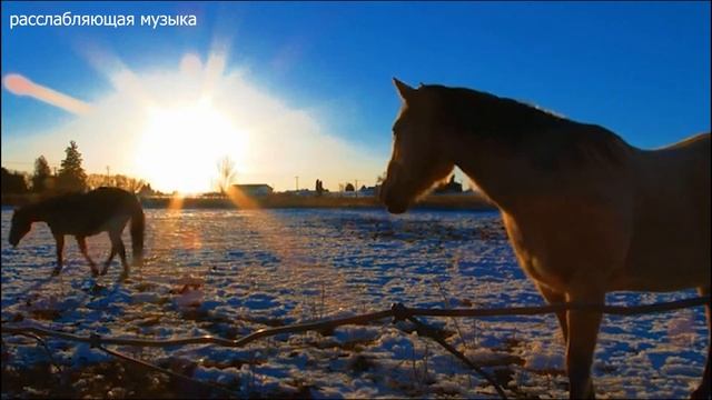 Cамая красивая мелодия на свете! КРАСИВАЯ МУЗЫКА ДЛЯ ДУШИ Сергей Грищук! Музыка успокаивает душу