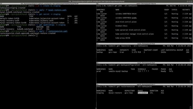 Stash Introducing a Better Cloud-Native Backup Experience | Kubernetes Backup & Restore Solution смотреть онлайн