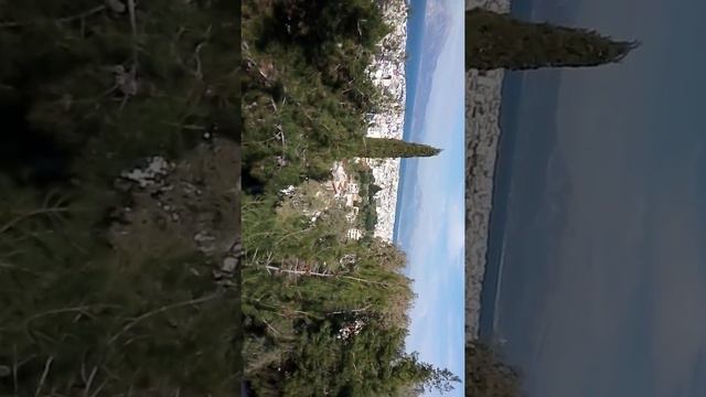 Выходной с Доцей. Пьёт кофе сто Дасилио. смотреть онлайн