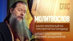 КАНОН МОЛЕБНЫЙ КО ПРЕСВЯТОЙ БОГОРОДИЦЕ. ЧИТАЕТ ПРОТОИЕРЕЙ АРТЕМИЙ ВЛАДИМИРОВ