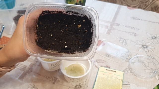 ЧТО ЗА "ЗВЕРЬ" ТАКОЙ - ПЕПИНО??!!? смотреть онлайн