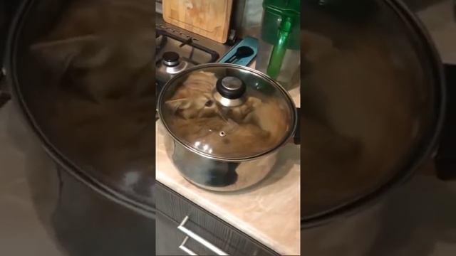 суп с котом