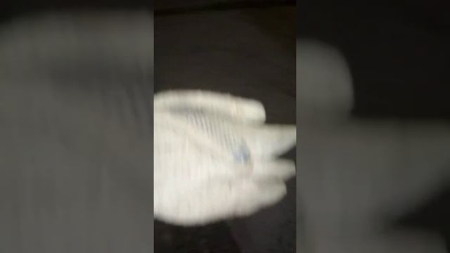 Как поймать крысу 3 смотреть онлайн