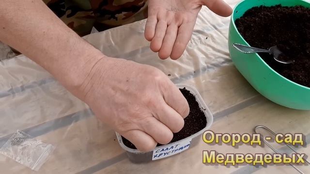 Тонкости посева листового салата смотреть онлайн