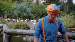 Блиппи учит формы и надувает большие пузыри - Blippi