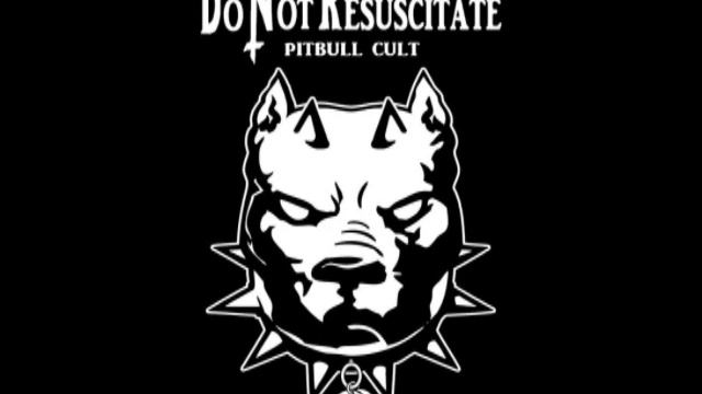 DNR - Pitbull Cult смотреть онлайн