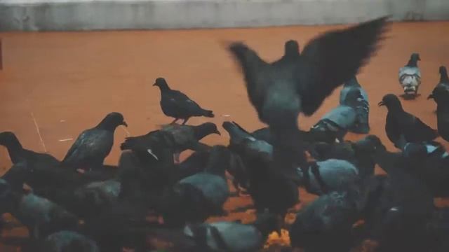 Бангкок, Таиланд смотреть онлайн