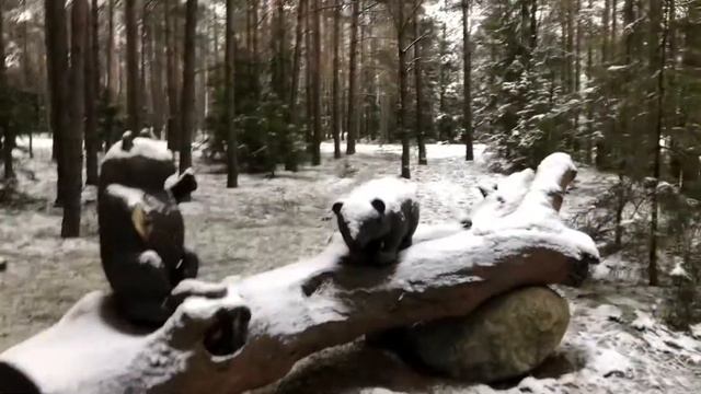 Благоустройство в лесу смотреть онлайн