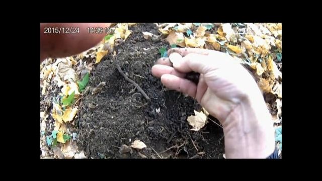 DEUS XP. Коп № 7 в Бельгии 24 12 2015. смотреть онлайн