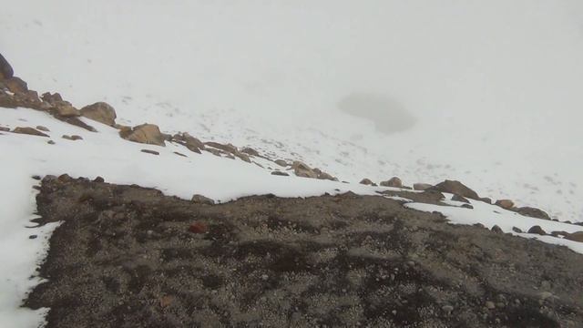 02462 смотреть онлайн