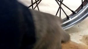 Как очистить ХРОМ от РЖАВЧИНЫ. Проверенный способ. ИЖ Планета 5.