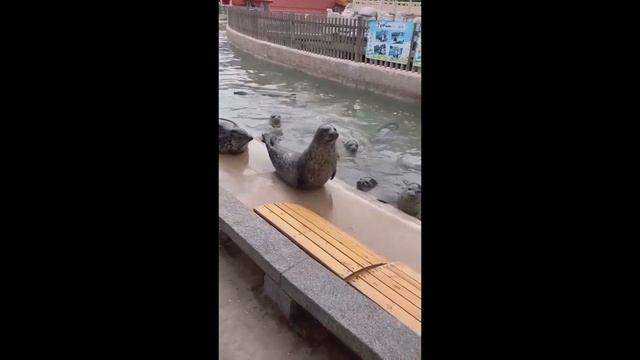 UNUSUAL MEMES смотреть онлайн