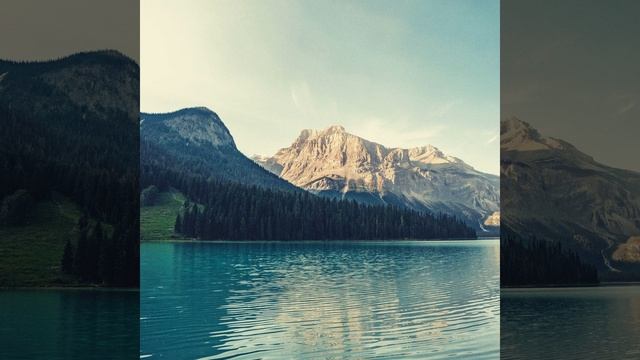 Моменты (Природа) смотреть онлайн