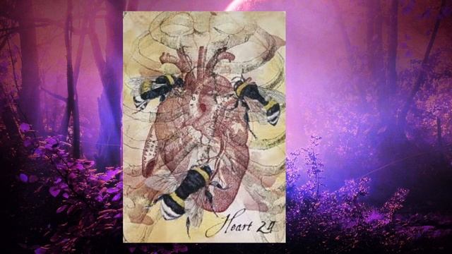 Галерея Оракул Лунного Кочевника — The Lunar Nomad Oracle Gallery смотреть онлайн