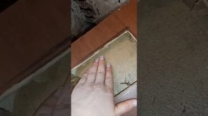 Ролик № 610. Ставим вентиляционные решетки в двери.