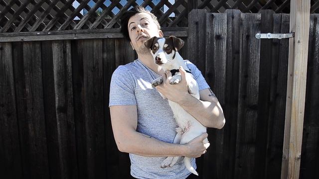 Christopher Mintz-Plasse Chats About Our Jack Russell/Chihuahua Mix, JoJo смотреть онлайн