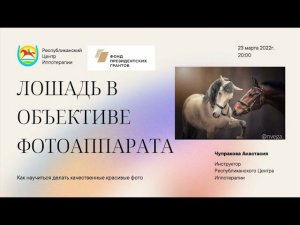 23.03.2022 - Вебинар на тему: "Лошадь в объективе фотоаппарата"