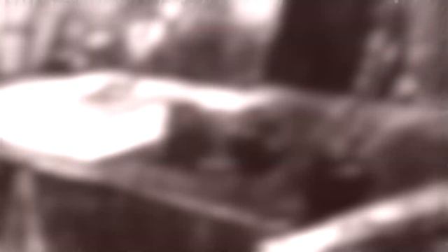 Штрихи биографии Владимира Маяковского смотреть онлайн