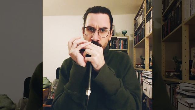 Minor Swing on SIX DIFFERENT HARMONICAS смотреть онлайн