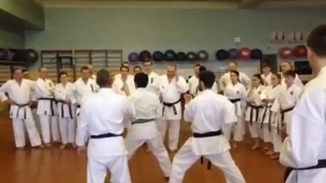 Murakami Manabu: kihon, kumite, kata. смотреть онлайн