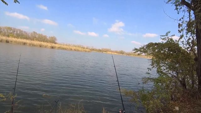 Перезалив: Осенняя рыбалка 2021. Река Кочеты.