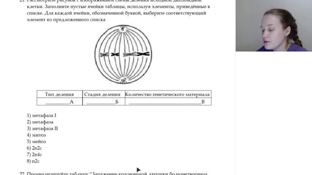 Разбор варианта ЕГЭ по биологии №14 смотреть онлайн