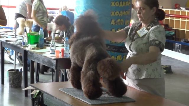 "ХАМАР-ДАБАН - 2013" -ЧРКФ 17.08.13 Цирцея с Таинственного Острова смотреть онлайн