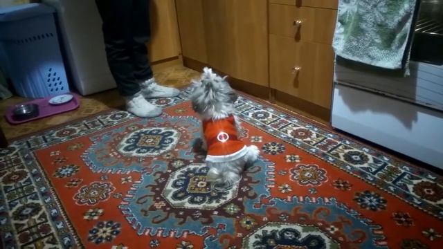 Our little friends смотреть онлайн