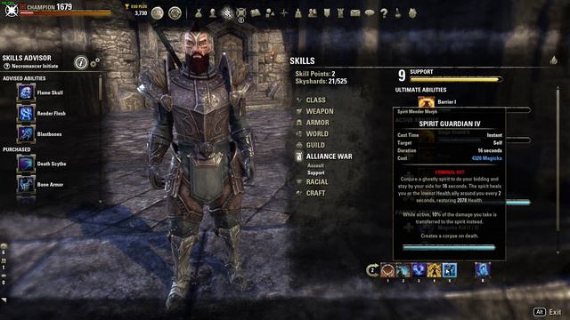 Elder Scrolls Online - How To Become A PVP Siegebot - Meme Build Video