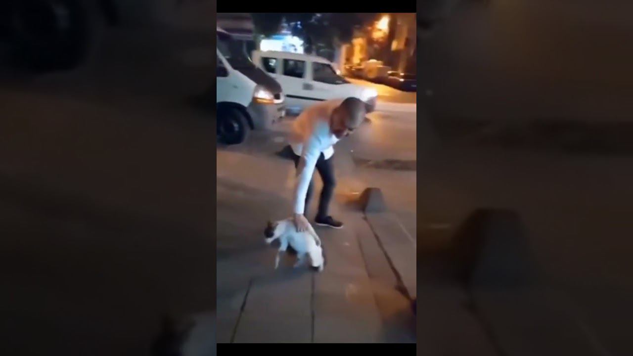 Судья сказал брейк ))) смотреть онлайн